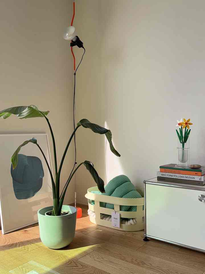 ライトグレーの壁とナチュラルな木製の床のリビングコーナー、大きな緑の植物と淡い緑のバスケット、ペンダントライトが配置された落ち着いた雰囲気のインテリア