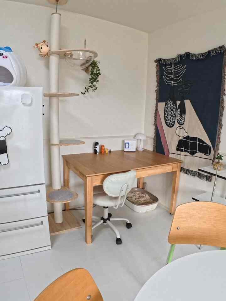 白い壁と木目調家具が配置された温かみのあるキッチン兼ダイニングスペース、キャットタワーと猫用トイレがある猫と暮らす家