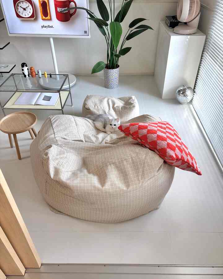 ベージュトーンのリビング、中央に大きなビーズクッションと猫が置かれ、そばに植物があるシンプルでナチュラルな雰囲気のインテリア