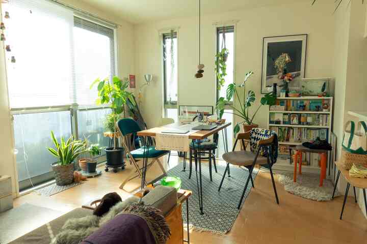 明るい木目調と白い壁の1LDKリビング、コンパクトなダイニングテーブルと多様な植物を配したミッドセンチュリーモダンな印象的な空間