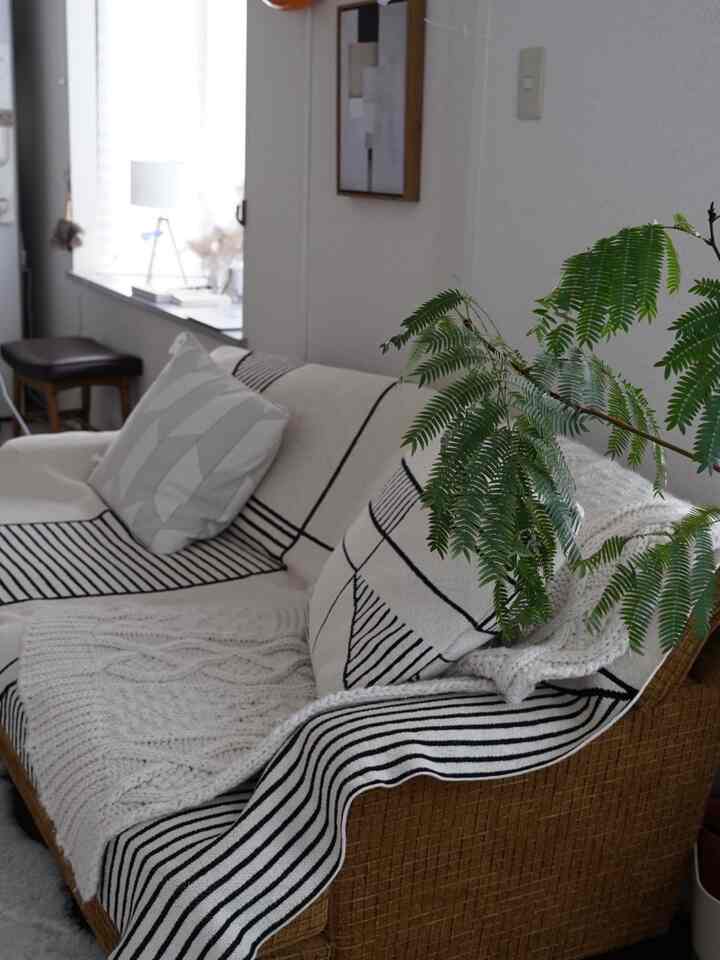 ふわふわなソファーに毛布をかけてましたが
冷房つけててもやはり暑いので
クッションと同じ柄のスローケットをACTUSで購入

丁度良い厚みでソファーカバーにしてもへなへなしない！色々探したけどコレが1番しっくりきました。

真っ白で探してましたがまぁいいかな。
またソファーが快適になりました(寝ちゃう)


子供が足で登るので汚れ防止にソファーのプロテクターをかけてます(2枚目写真)
このプロテクターはソファーの繊維の柔らかさも残しつつ繊維一本一本しっかり撥水してくれます。
無くなるの早いけど使用状況にもよりますが半年は撥水してくれるらしいので洗えないソファーにかけるなら安い。
汚れたら洗えばいいやってソファーやブランケットも汚れたら意外と取れないですしね。

ベタベタしない、匂いは無臭、ゴワゴワしないのはポイント高い。

◼︎テキスタイルプロテクター Wプラス
    400ml


#ソファーカバー #ソファー #プロテクター
#リビング #賃貸 #ACTUS #スローケット
#賃貸インテリア 

