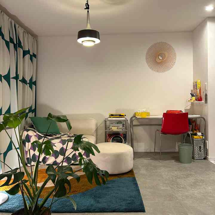 ブルーとブラウンのラグが敷かれたモダンな1LDKリビング、一人掛けソファと観葉植物が配置された印象的な空間