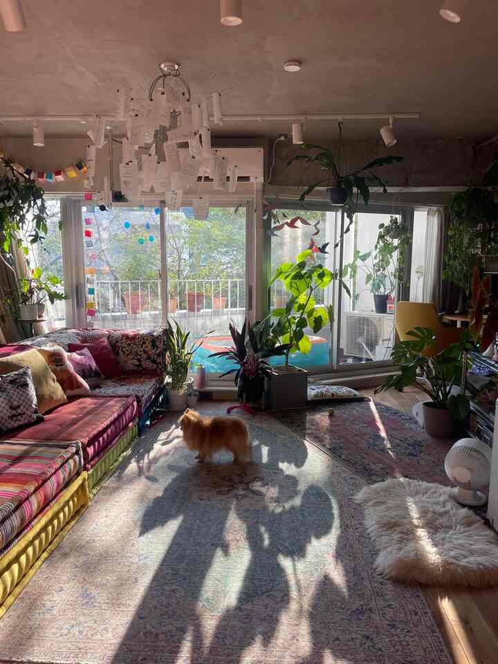 #午後のリビング　#カラフルなインテリア #西陽