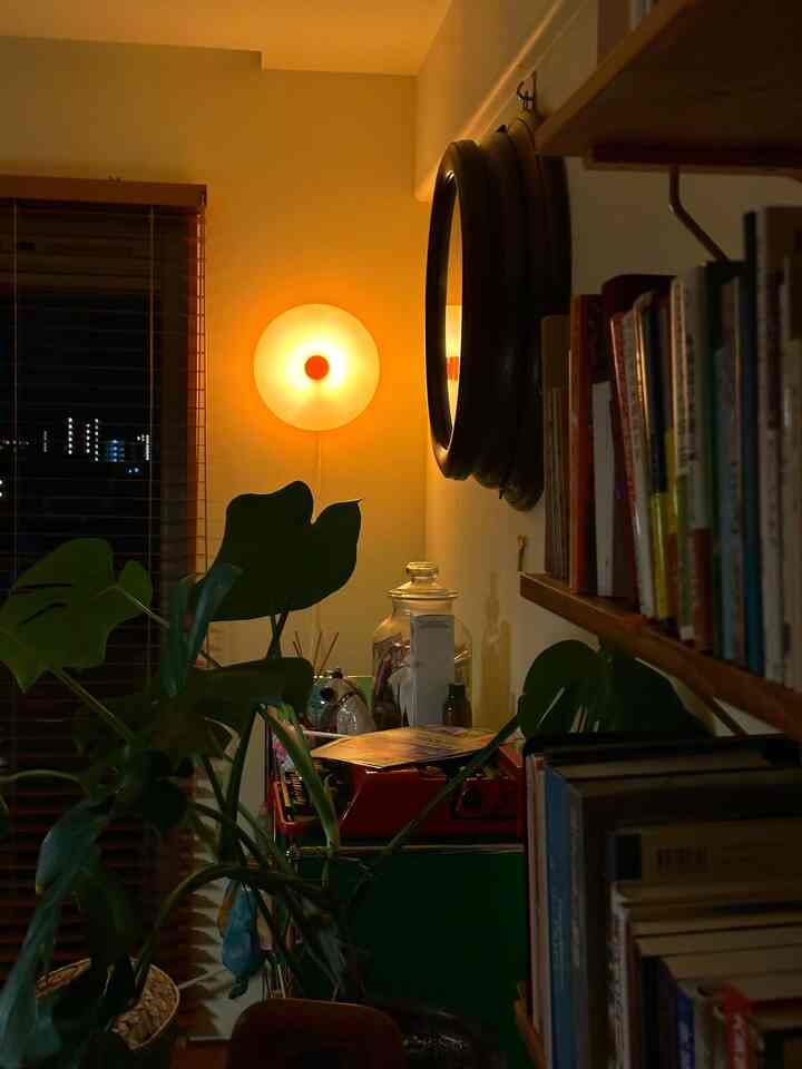 Late-night dining
My Monstera has really grown.

#UsedApartment
#RenovatingApartment
#Renovation
#renovation
#apartment
#IndirectLighting
#DailyLighting
#Garden
#Houseplants