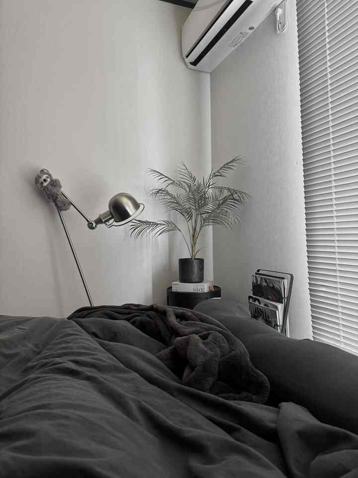 White-walled bedroom with black bedding, floor lamp, and plant arranged in a single household space