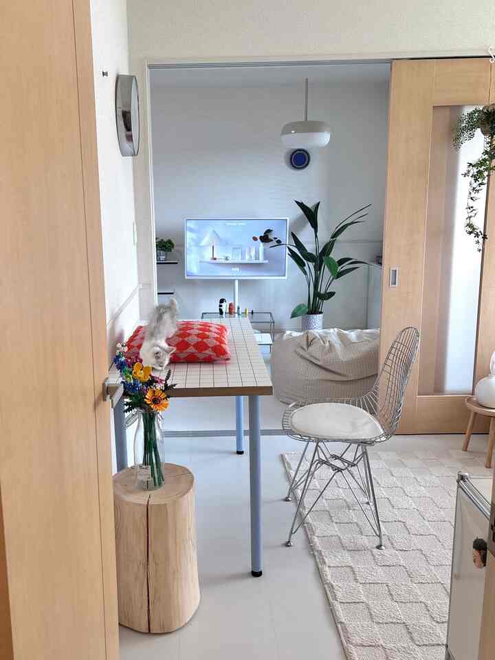 White and natural-toned studio apartment featuring a cat, rug, and simple modern interior elements