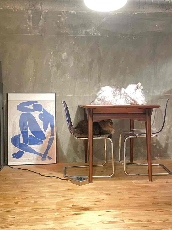 コピーしてペースト
#ダイニング #ダイニングインテリア
#IKEA #IKEA家具 #IKEA額縁 #IKEA照明
#リノベーション
#リノベマンション