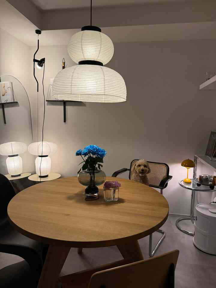 白い壁と木目調のラウンドテーブルがあるミッドセンチュリーモダンのリビング、青い薔薇と犬が配置された雰囲気のある空間