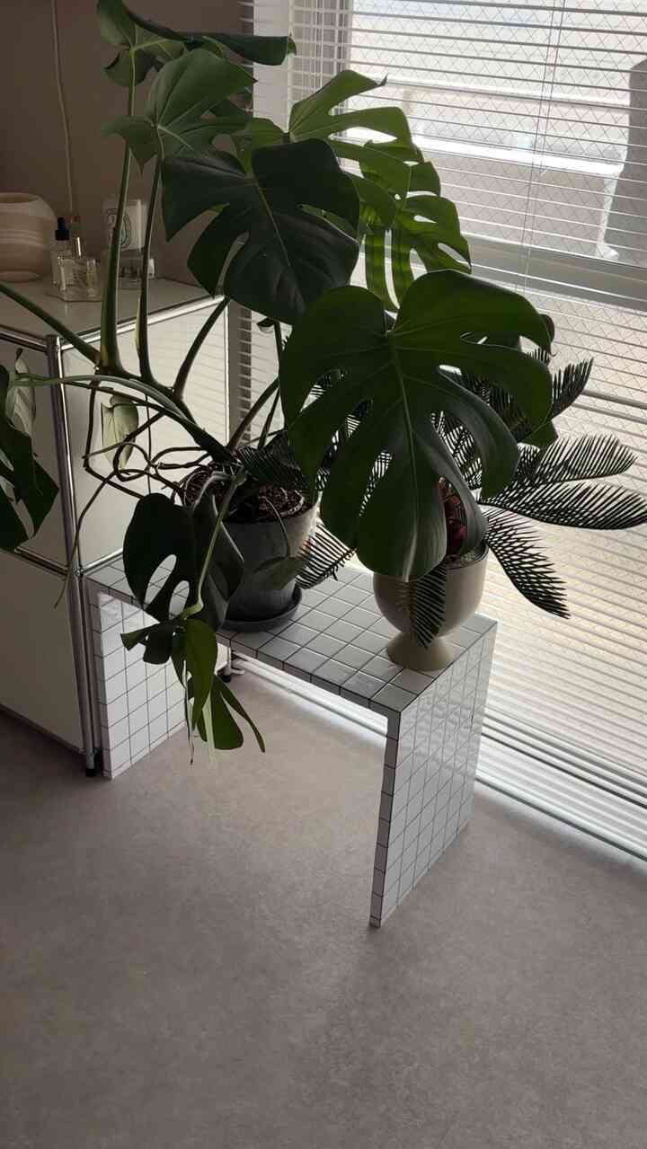 DIYしたキッズデスクはプランタースタンドでもいい感じ。

#キッズデスク #タイルシート