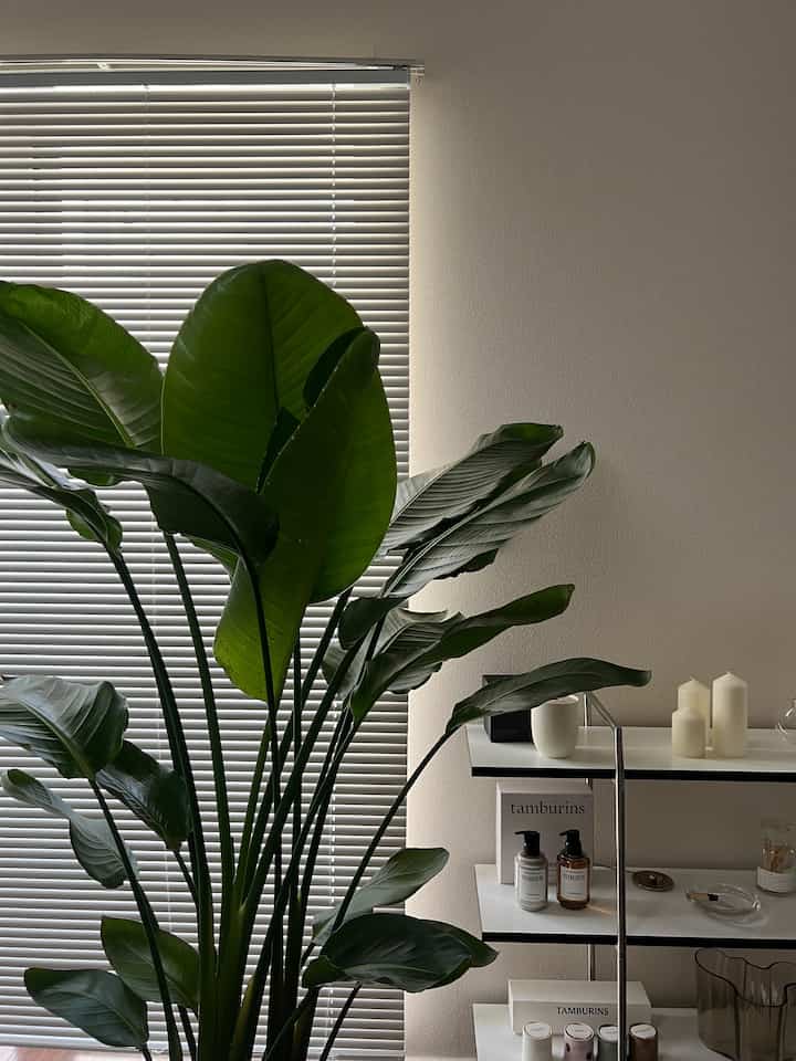 #グリーンインテリア #シェルフ #IKEA雑貨