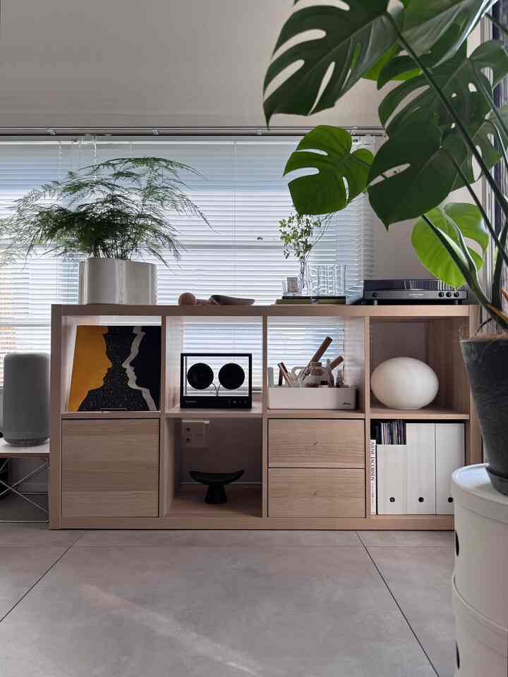 増えては伸び続ける植物達…🌳

#北欧インテリア 
#ミッドセンチュリー 
#ミッドセンチュリーモダン 
#ジャパンディ
#デザイナーズ
#japan
#ペット用品 
#ikea
#Vitra 
#Artek 
#transparent
#iittala
#レコードプレイヤー
#スピーカー
#収納
#レコード
#観葉植物