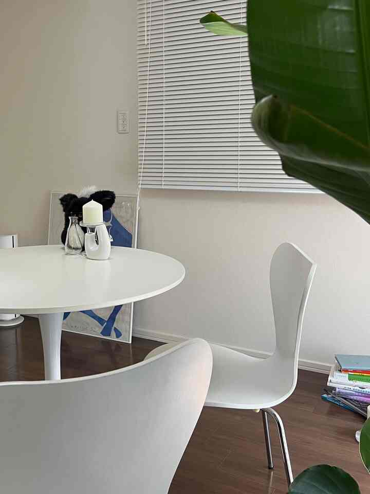 Bright white and wood tone studio apartment in cafe style featuring a round table, chairs, and green plant