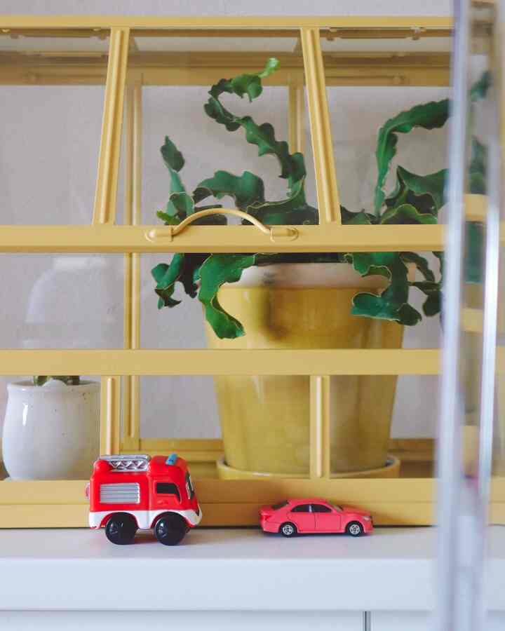いつでもどこでもフレームインしてくる
ミニカーたち。笑

黄色との組み合わせが
なんだかいい感じで思わずパシャリ📷

#暮らしの風景  #ミッドセンチュリー風 #鉢カバー #空間づくり #棚の上の世界

