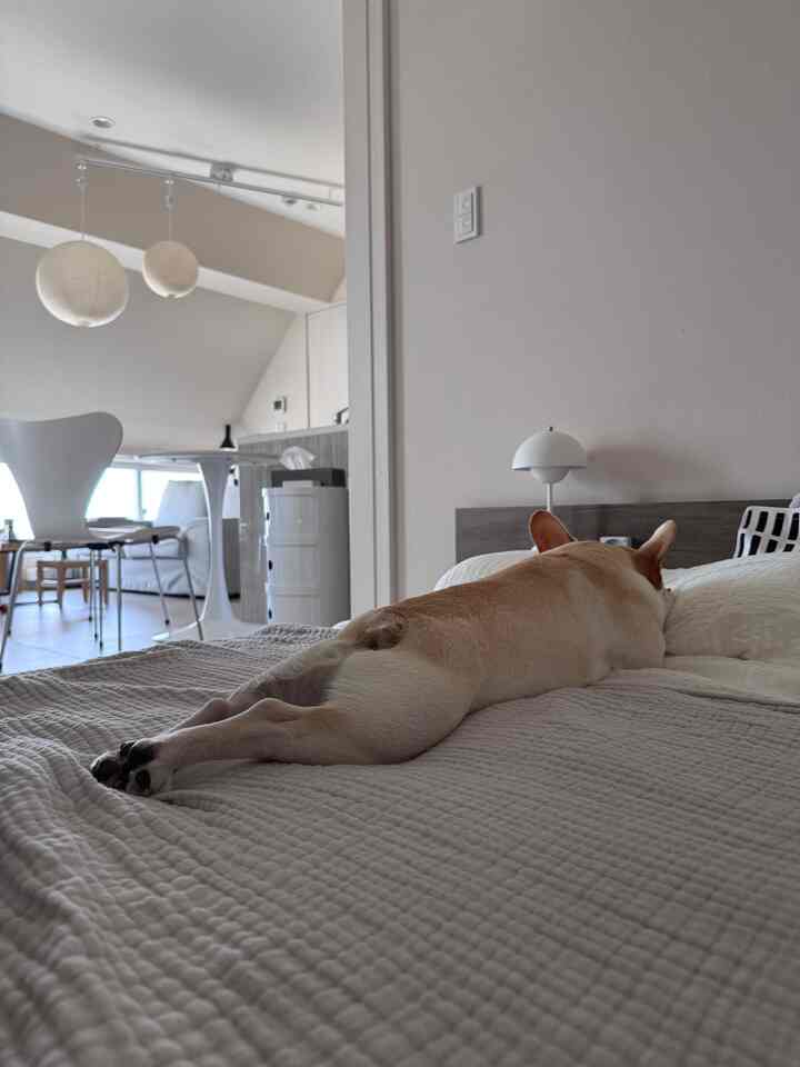 Natural modern style bedroom and dining area with white and beige tones creating a calm atmosphere