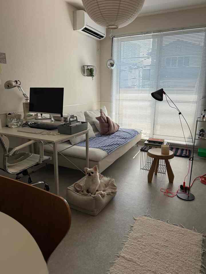 白とグレーのトーンで統一されたワンルームのリビングルーム、ソファとデスク、犬のベッドが配された雰囲気のあるインテリア