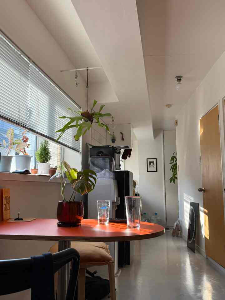 White-toned narrow long kitchen featuring a red dining table and various plants creating a cozy home cafe atmosphere