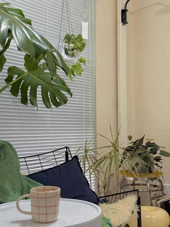 雨の日の朝って暖かいもの飲みたくなるよね〜？☕️
ソファーからの景色は植物いっぱいだよ🪴

#朝 #リビング #リビング植物 #観葉植物 #インテリア植物 #IKEA #リビング小物 #インテリア配色 #インテリア小物 #マグ #マグカップ #リビング照明 