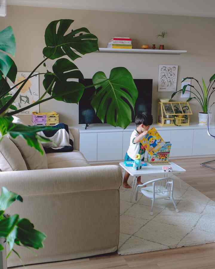 買った時は小さかったモンステラ、
2年ほどでぐんぐん大きくなりました🌿

今年も暑い夏を乗り越えてくれてありがとう🤲

#リビングインテリア #子どものいる暮らし #beforeafter #tvwalldesign #tvwall #interior #interiordesign #マンションインテリア #tvboard #tvstand #walldecor #テレビ背面 #テレビ台 #テレビボード #テレビボード収納 #livingroom