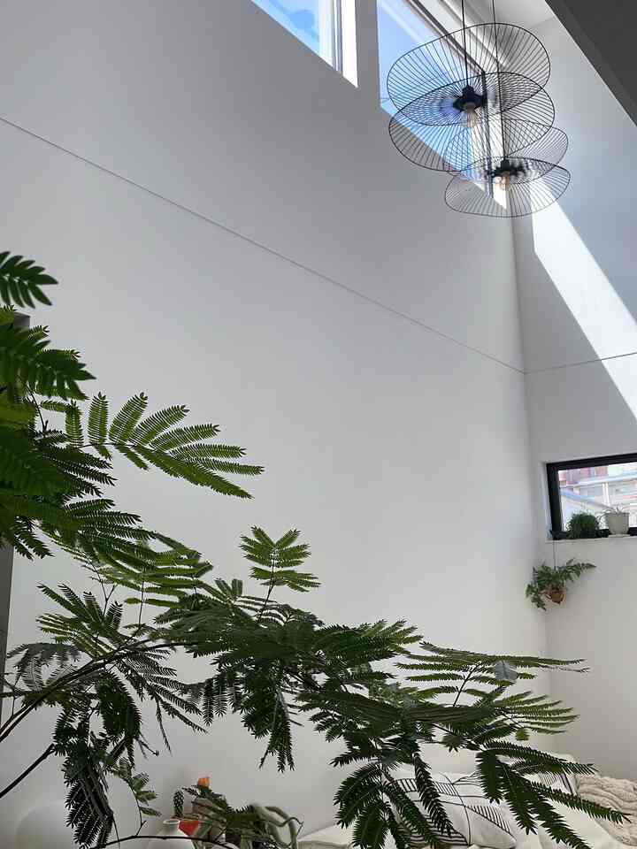 #吹き抜け
#空間
#ペンダントライト 
#観葉植物 
#エバーフレッシュ 
#北欧 
#北欧インテリア 
#海外インテリア

