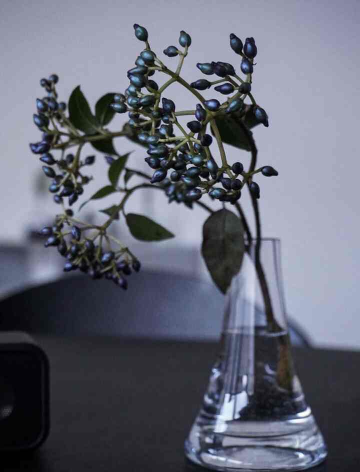 透明なガラスの花瓶に植物が生けられたテーブルが配置された落ち着いたカフェ風の空間