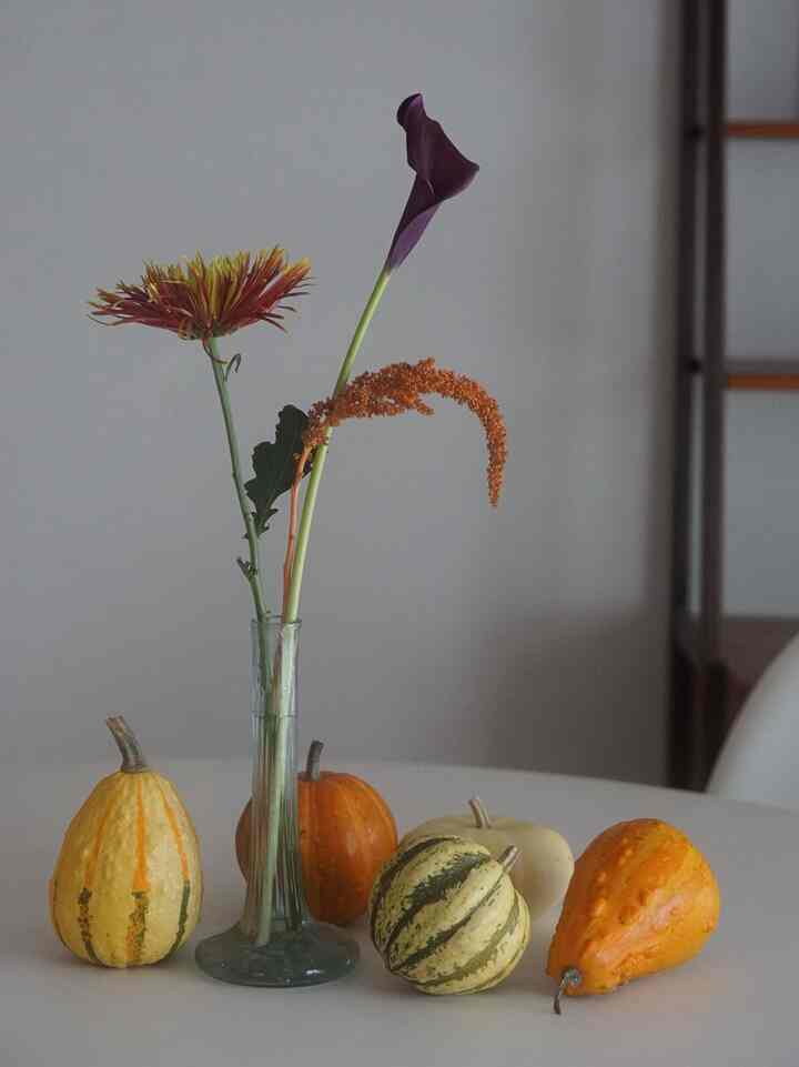 秋になるとハロウィンインテリアを意識して、観賞用の🎃を飾るのが好きです❤️今年も待ち遠しいな！

1.2枚目→2024年
3.4枚目→2023年

#リビングインテリア #ハロウィンインテリア #ハロウィン小物 #ハロウィン #ホームデコレーション #ホームデコ　#ホームインテリア 