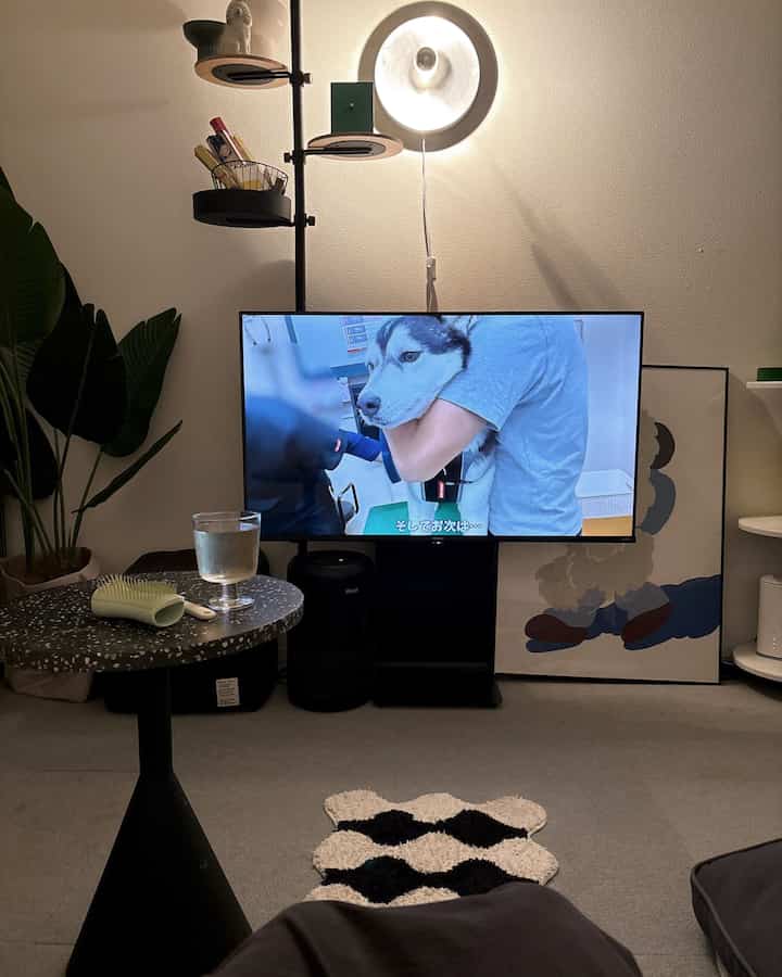 白と黒のトーンの一人暮らしのリビング、サイドテーブルとテレビ台が配置され、犬と暮らす落ち着いた空間