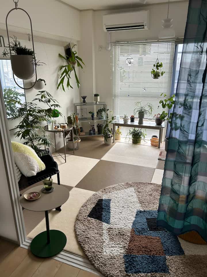 A white and brown toned 6-tatami room featuring various plants and side tables, creating a natural living room atmosphere