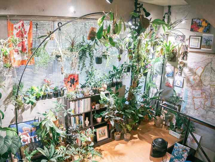 Tanaman yang berkembang biak musim panas ini
#HidupSendiri #一人暮らしインテリア #ひとり暮らし #部屋紹介 #部屋作り #花のある暮らし #花瓶 #韓国インテリア #北欧インテリア #植物のある暮らし #観葉植物 #PlantLover#HutanPerkotaan#TanamanDalamRuangan#GreenThumb#OrangTuaTanaman#KehidupanBerkebun#KecantikanBotani#KlubTanamanRumah#Plantstagram