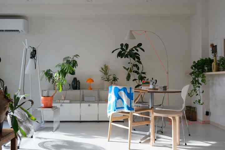 Ruang tamu penuh tanaman 🪴🪴🪴

#RentalInterior #usmハラー #ch24 #Artek #stool60 #panthella160 #aynolamp #pantonwire #インテリア好き #部屋好き #antchair #ddepartment #北欧インテリア