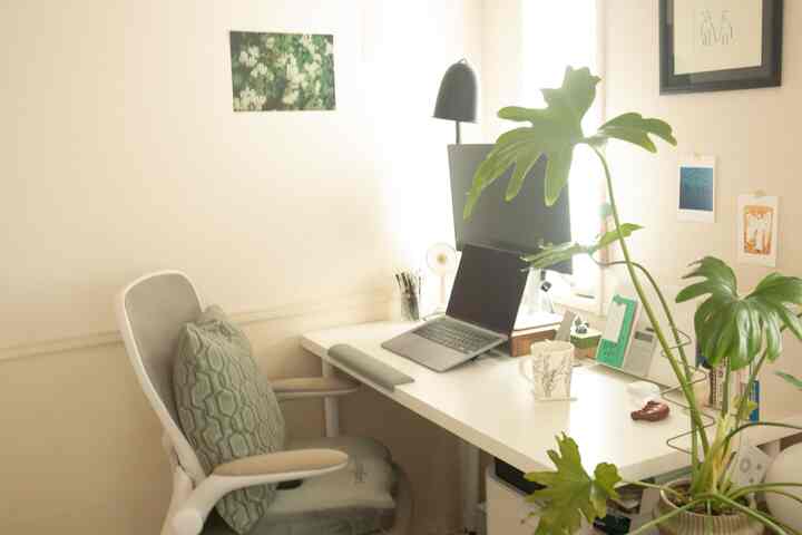 White and green toned home office featuring a corner desk, ergonomic chair, and large plant creating a cozy workspace