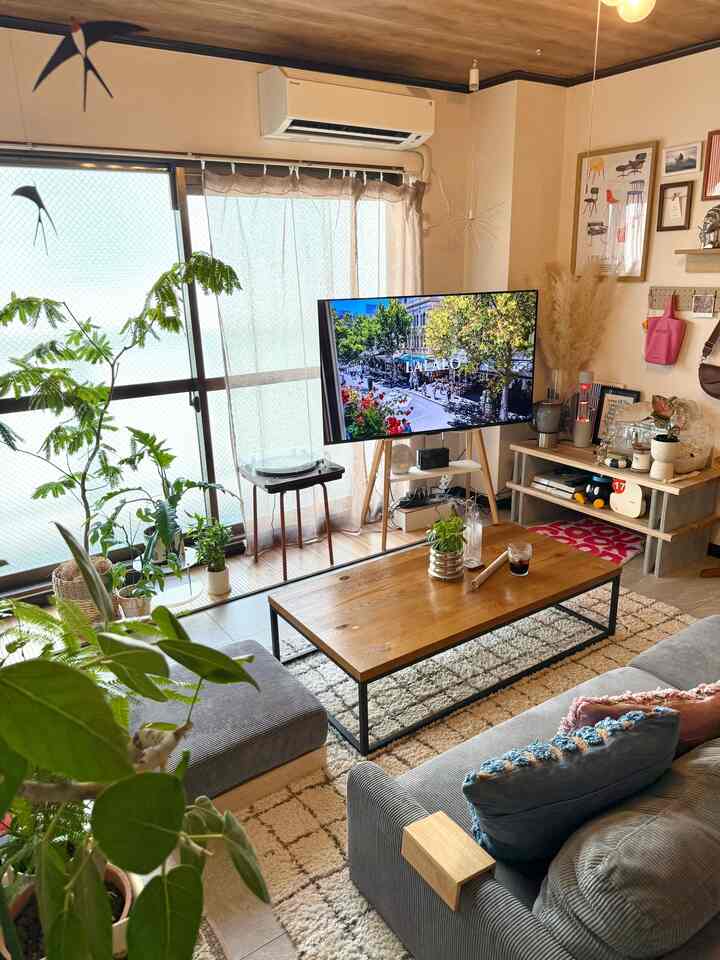 ⚪️🟤🟢

#インテリア　#観葉植物　#エバーフレッシュ #ローソファ　#ラバーランプ　#テレビスタンド #観葉植物のある暮らし #インテリア家具 #インテリア小物 #インテリア植物 #インテリア照明 #インテリアポスター #インテリア雑貨