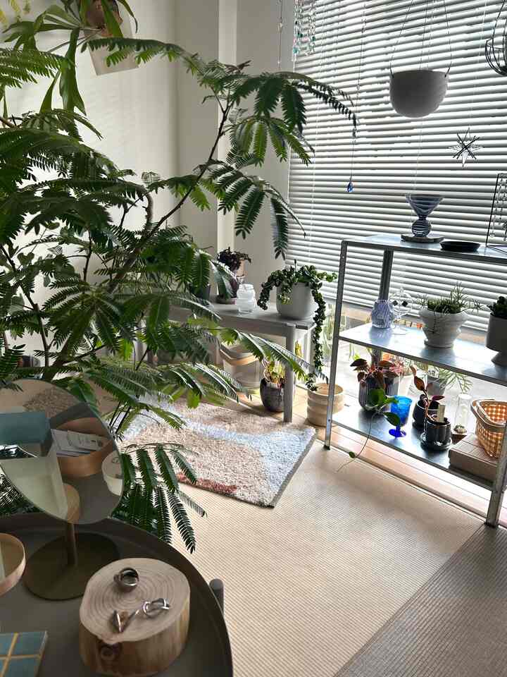 A natural and modern small room in white and gray tones featuring metal shelving and various indoor plants