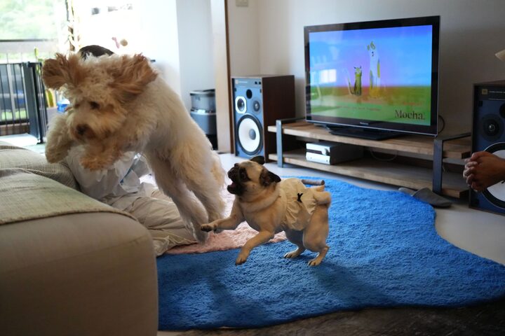 short form carousel card thumbnail