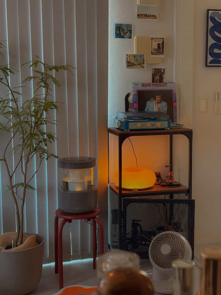 レコード周りがお気に入り💚💛

#賃貸　#暮らし　#2人暮らし　#観葉植物
#living #interior #ikea #midcentury #industrial
#レコード #レコードラック #レトロ #レトロインテリア #加湿器 #サーキュレータ 