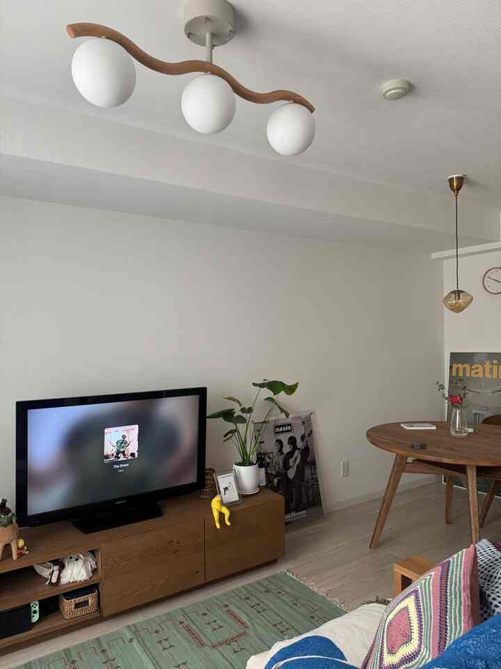 Living room with white walls and brown wooden furniture, featuring green rug and plants in a natural modern interior