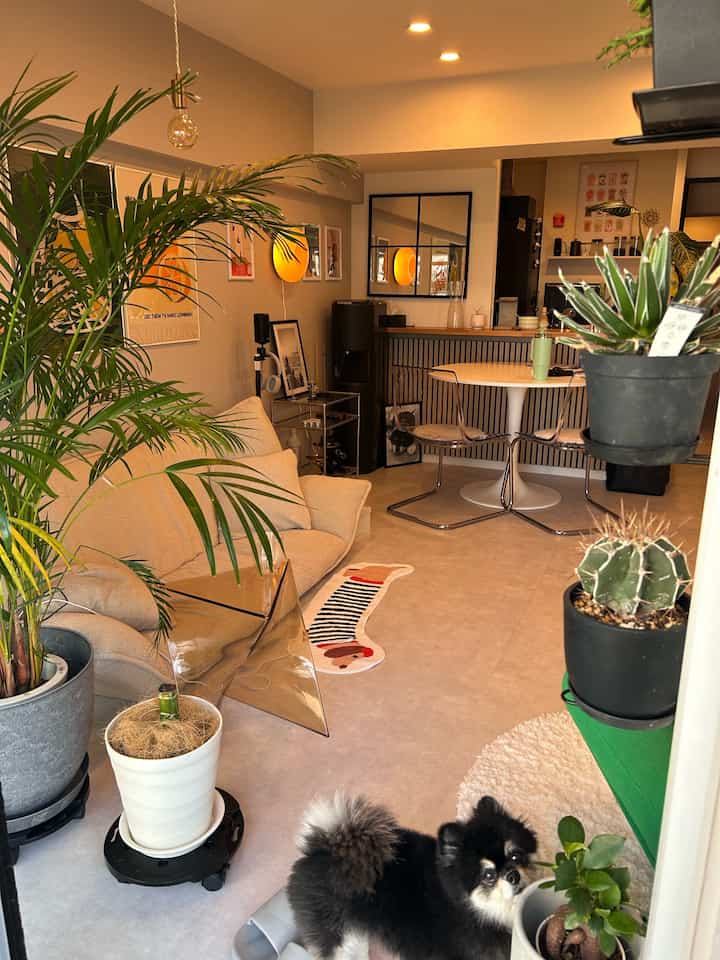 アイボリーのソファとグレーの床が調和した北欧スタイルのリビング、カラフルな照明と植物が配置された雰囲気のある空間