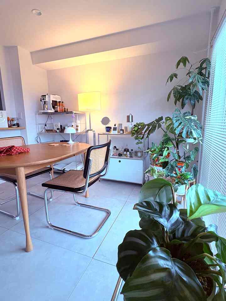Dining room with warm wood tones and white walls, featuring abundant plants creating a natural and cozy atmosphere