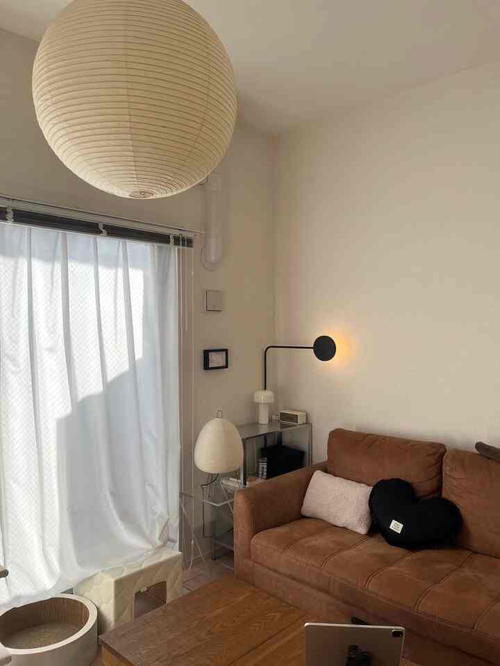 White walls and curtains dominate a 1LDK living room featuring a brown sofa and cat furniture, creating a simple Nordic-style space