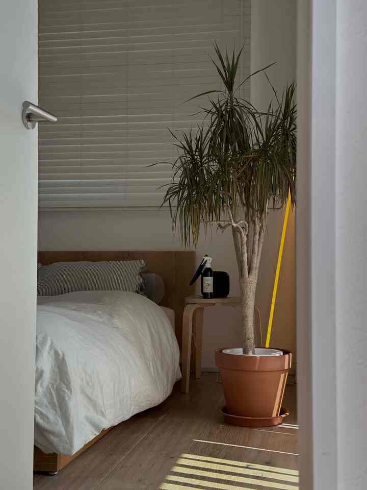 Kamar tidur saya akhir-akhir ini semakin berwarna 🧸
#gayakamartidur
#interiortanaman
#aksesorikamartidur
#kamartidur