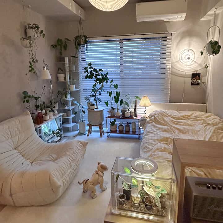 season9のアンバサダーを務めさせていただきます！Lunaと申します🤍

Oh!houseでの発信も再開していきますのでどうぞよろしくお願いします✨

#1K #リーンロゼトーゴ #1人暮らし