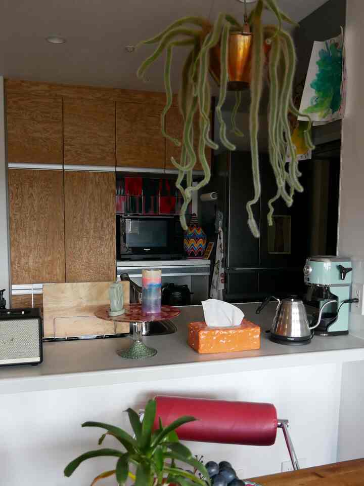 最近のキッチンはこんな感じ
ヒルデウィンテラがかなり伸びた🌵

#キッチン #ヒルデウィンテラ #電気ケトル #カッティングボード #サボテン
