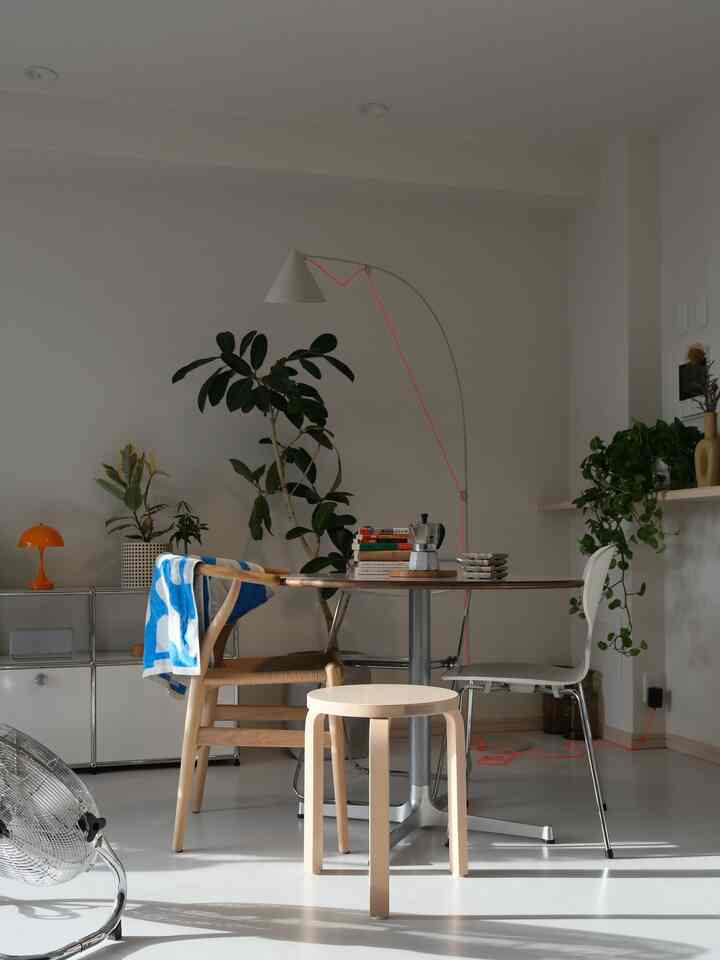 Matahari barat menyilaukan... 🌞
Masih panas~
Aku ingin jalan-jalan dan berfoto saat cuaca agak dingin 🏃‍♂️📸

——————————————————
#pecintainterior #北欧インテリア #インテリア #賃貸インテリア #賃貸暮らし #観葉植物 #グリーンのある暮らし #エバーフレッシュ #マンションインテリア #リビングダイニング #2人暮らしインテリア #部屋作り #3ldk #リビングインテリア #エバーフレッシュ #フィカスベンガレンシス #パキラ #フィカスティネケ #白ベースインテリア