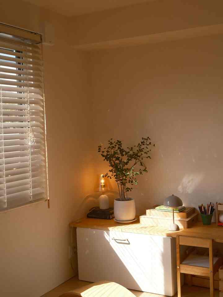 おもちゃ棚兼テーブル兼ベンチ✨
秋になってお部屋に差し込む陽が気持ち良い🍂 


#おもちゃ収納 #リビング #賃貸インテリア