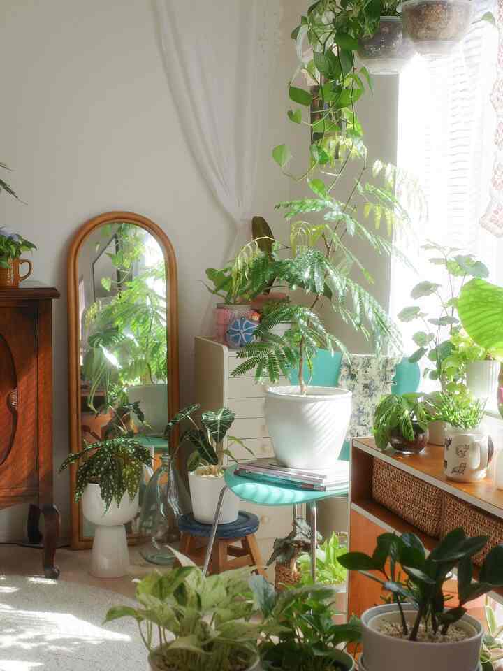 Tanaman saya memenuhi jendela teluk 🪴

Memilih penutup tanaman itu sulit sekali...
Kebanyakan tanaman saya ditanam di pot plastik yang memungkinkan ventilasi yang baik, jadi penutup itu penting 🌱

Kalau ragu, saya pilih yang keramik putih 🙆‍♀️ Koordinasi itu kuncinya!
Saya sangat suka penutup Iittala sampai ingin mengoleksinya dalam berbagai ukuran 👍

#TanamanRumah #植木鉢 #鉢植え