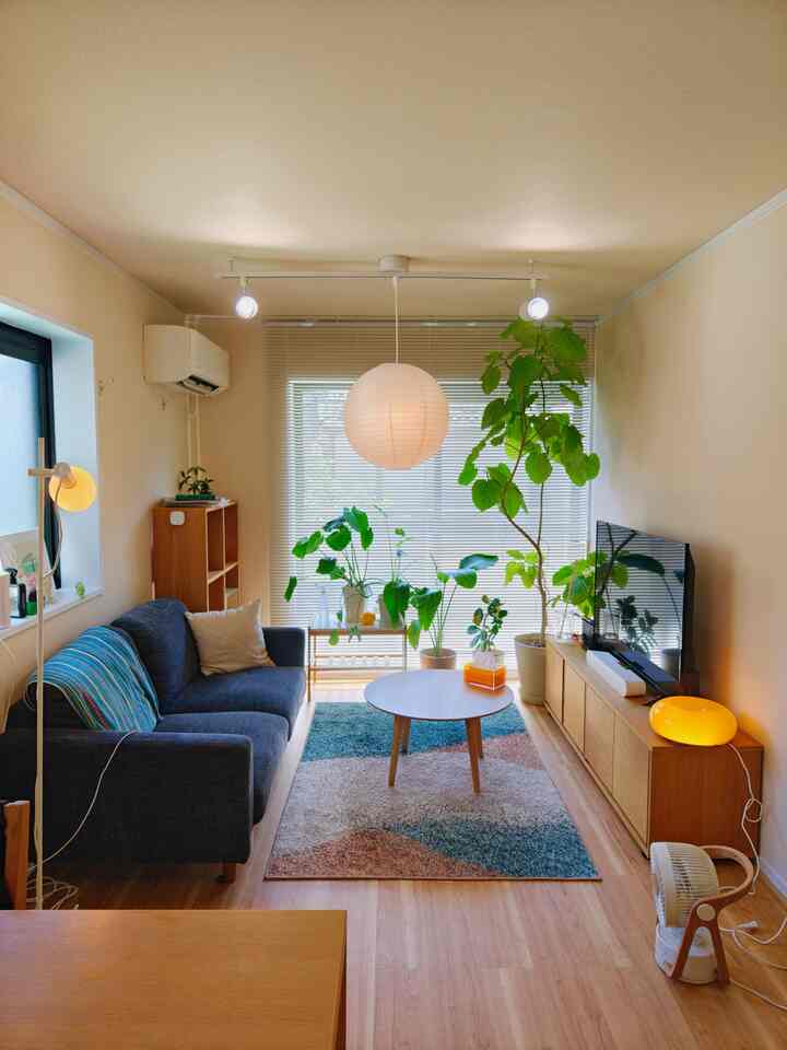 白と木目調が調和した1LDKリビング、多様な植物とシンプルな家具配置が雰囲気のあるインテリア