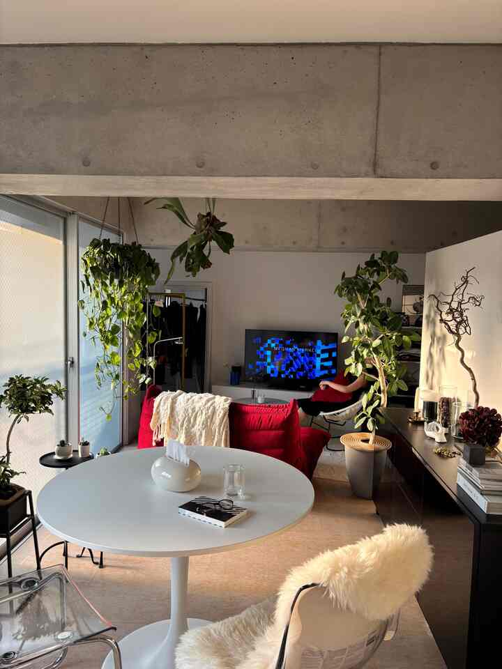 東京住み植物と暮らすデザイナーズ物件
IKEAの家具多めです🪞

#IKEA #観葉植物 #リーンロゼ #ロゼトーゴ #デザイナーズ家具 #デザイナーズ