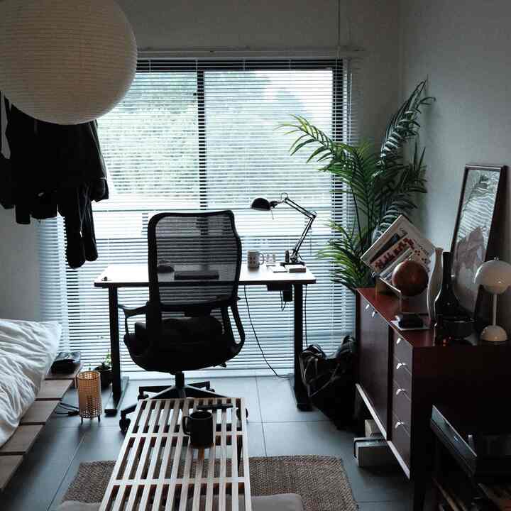 明るい木目調のワンルームホームオフィス、机とオフィスチェア、大きな植物が配置された雰囲気のあるインテリア