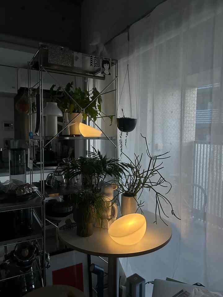 Warm-lit natural kitchen space featuring white tones and green plants with a minimal, open atmosphere
