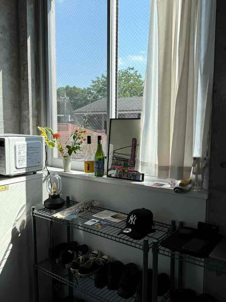 Living room window area with natural light featuring a khaki metal shoe rack and simple décor