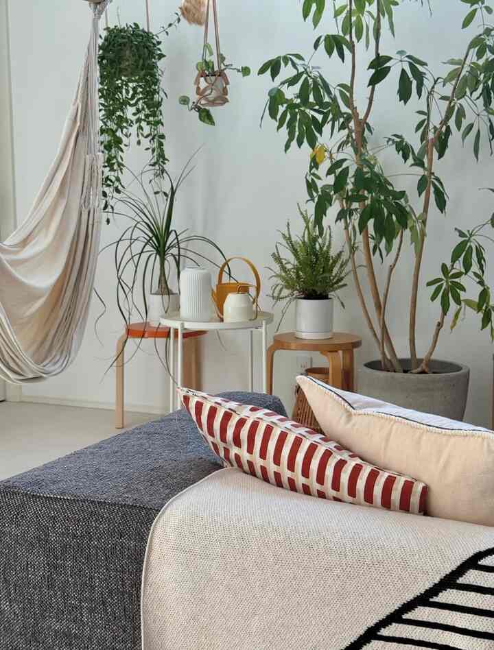 観葉植物は陽が当たる場所に集合🌿

映ってないですが天井に雲梯をつけているので、そこから植物を吊り下げたりハンモックをぶら下げています♪


#リビング #観葉植物 #ハンモック #artek